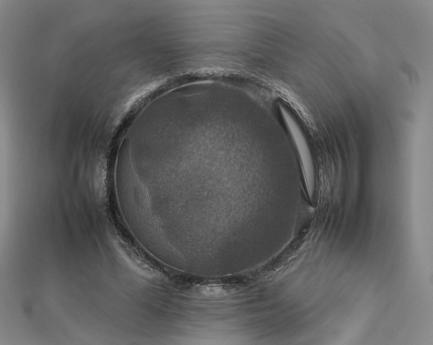 X0000112770588200908271643