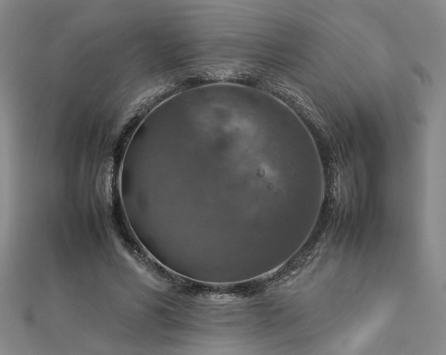 X0000112770590200908271643