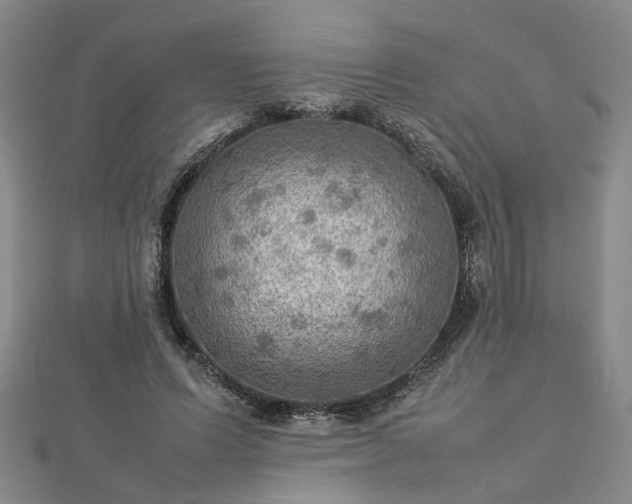 X0000112770591200908271643