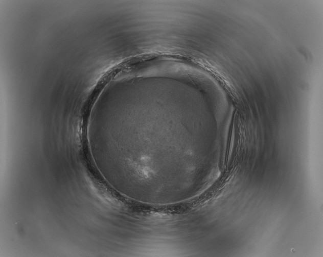 X0000112770592200908271643