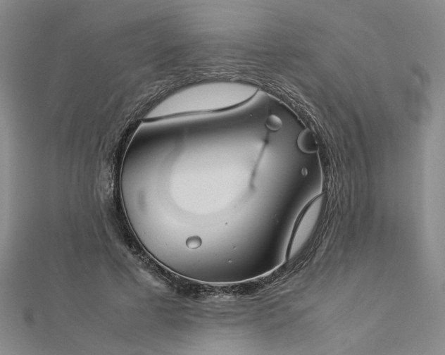 X0000112770593200908271643