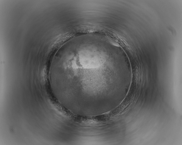 X0000112770594200908271643