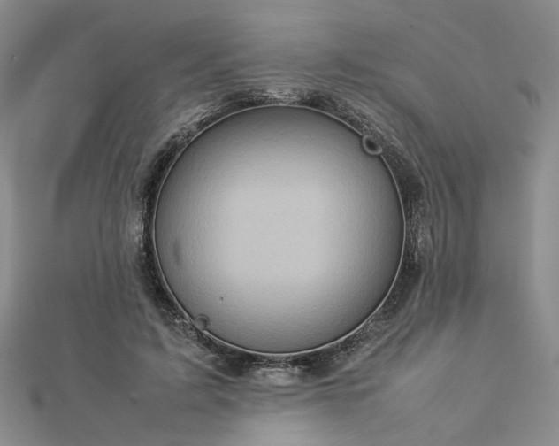 X0000112770595200908271643