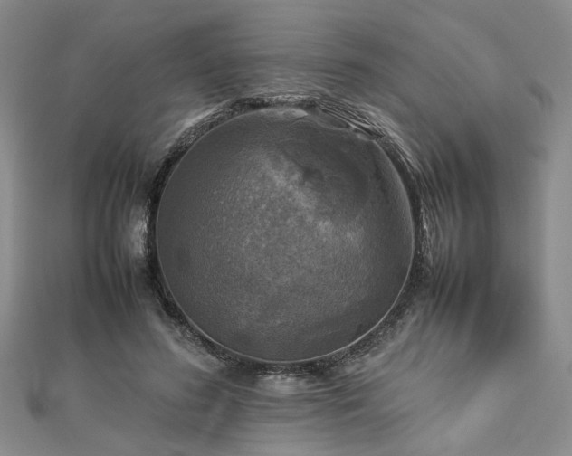 X0000112770596200908271643