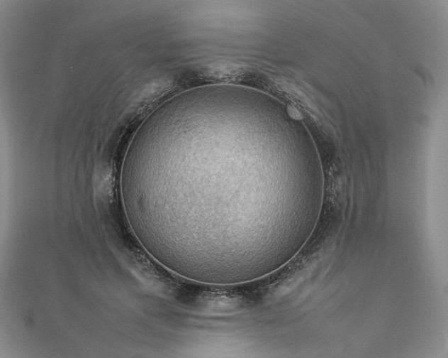 X0000112770597200908271643