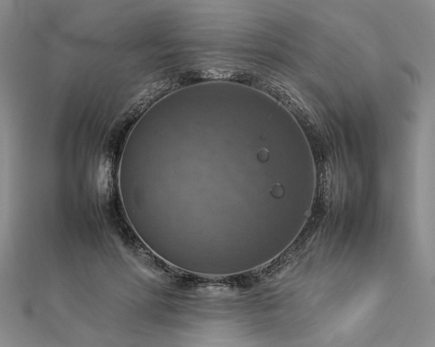 X0000112770598200908271643