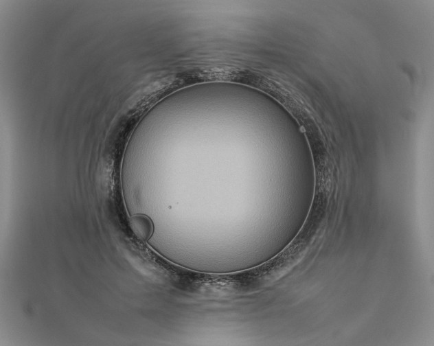 X0000112770599200908271643
