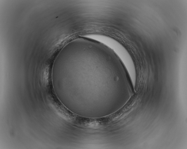 X0000112770600200908271643