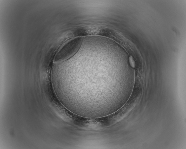 X0000112770601200908271643