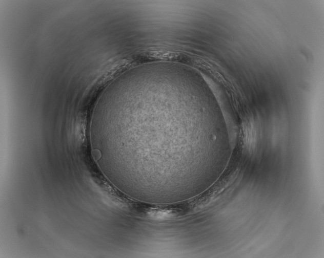 X0000112770602200908271643