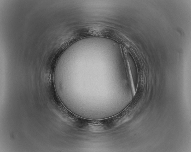 X0000112770603200908271643