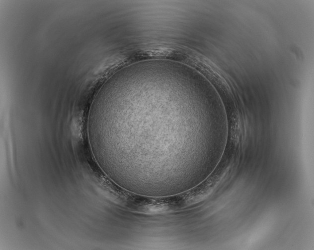 X0000112770604200908271643