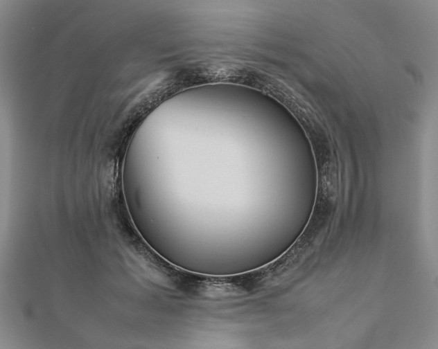 X0000112770605200908271643