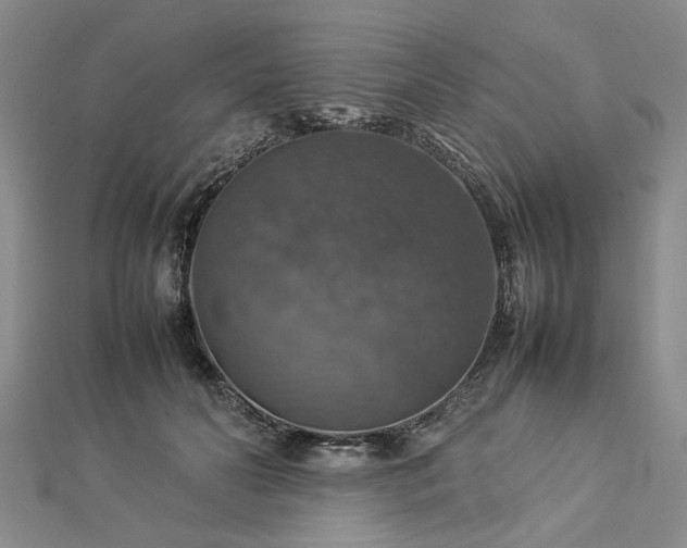 X0000112770606200908271643