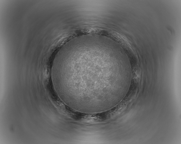 X0000112770607200908271643
