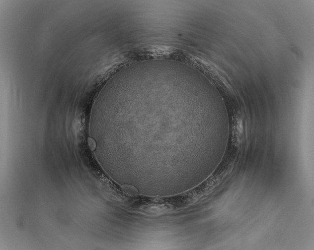 X0000112770608200908271643