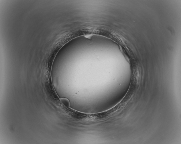 X0000112770609200908271643