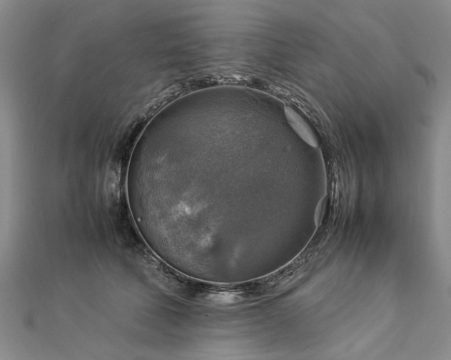X0000112770610200908271643