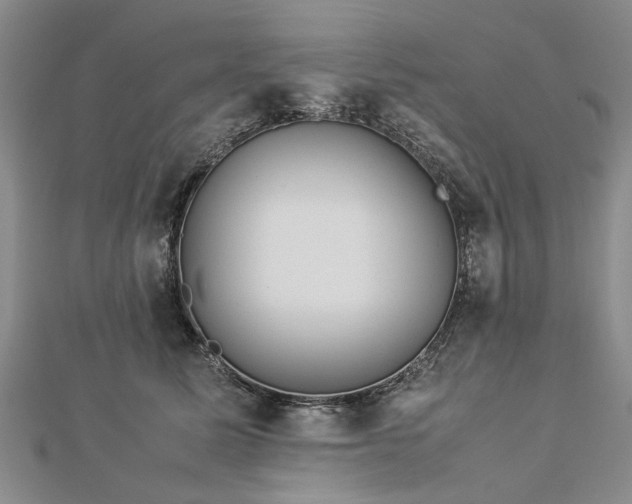 X0000112770611200908271643