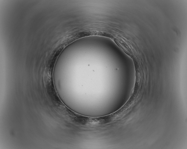 X0000112770613200908271643