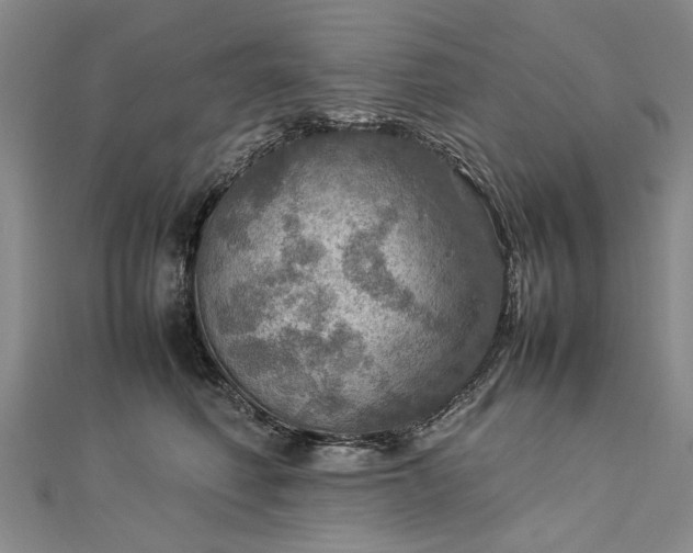 X0000112770614200908271643