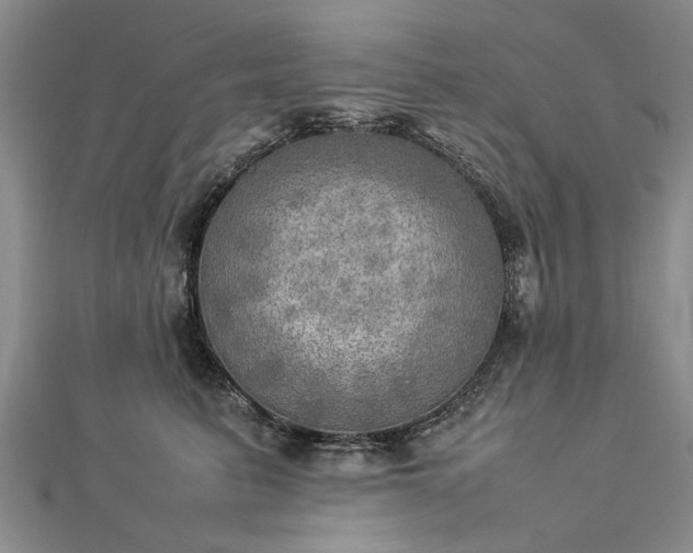 X0000112770615200908271643