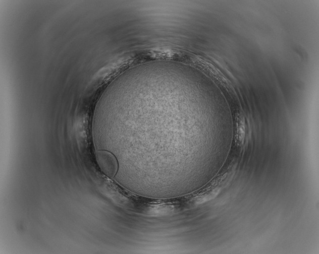 X0000112770616200908271643