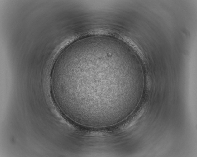 X0000112770625200908271642