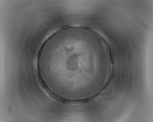 X0000112770626200908271642