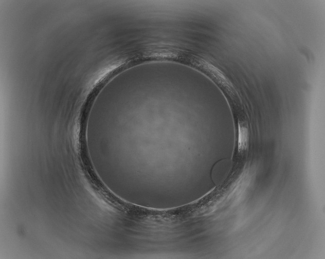 X0000112770627200908271642