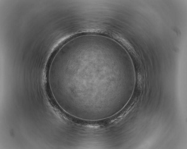 X0000112770628200908271642