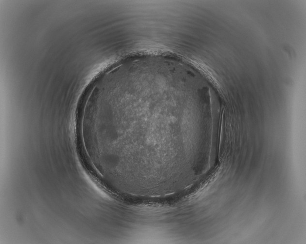 X0000112770630200908271642