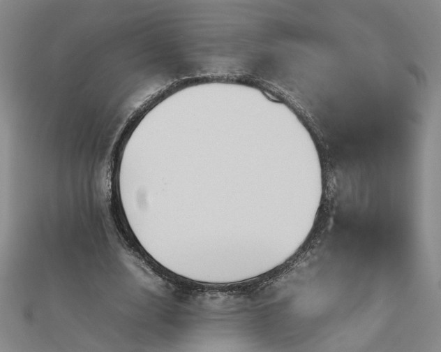 X0000112770632200908271642