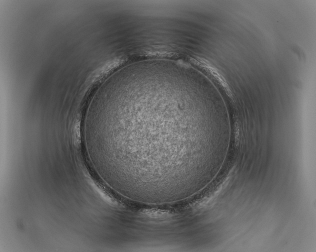 X0000112770633200908271642