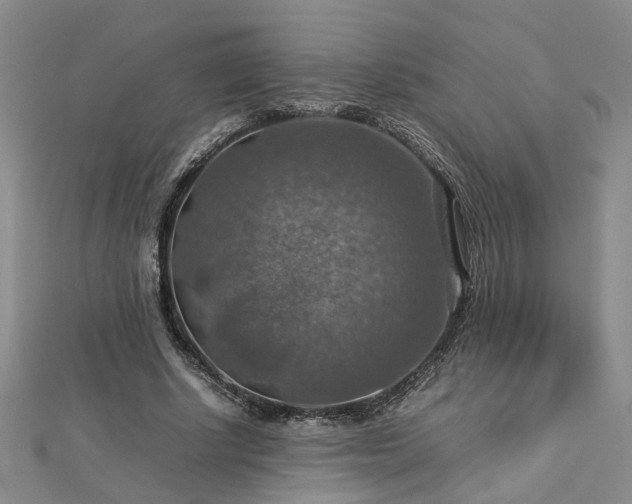 X0000112770634200908271642