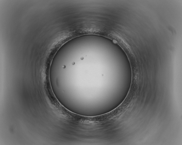 X0000112770635200908271642