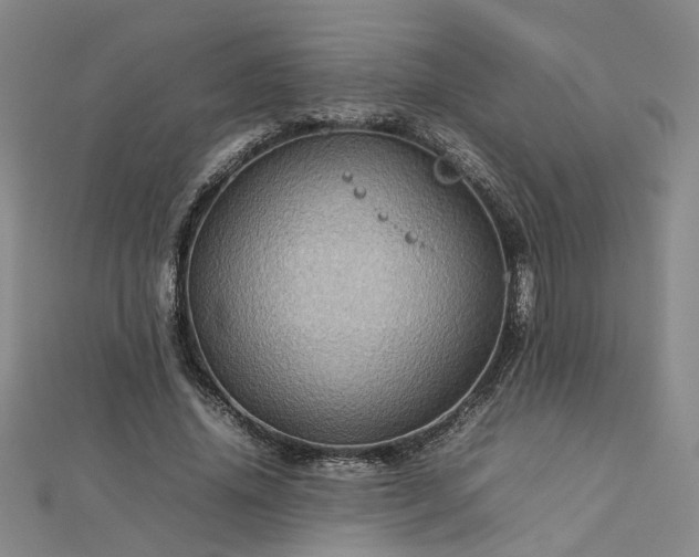 X0000112770636200908271642