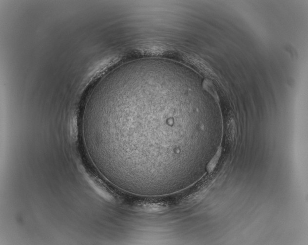 X0000112770638200908271642