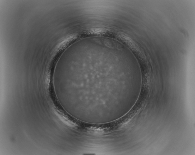 X0000112770640200908271642