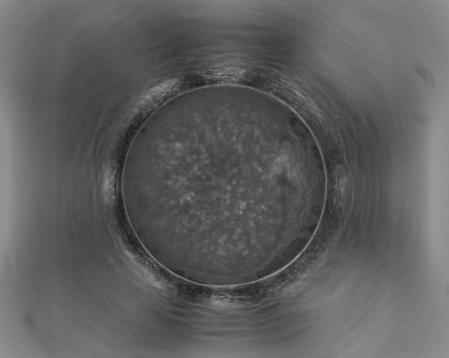 X0000112770641200908271642
