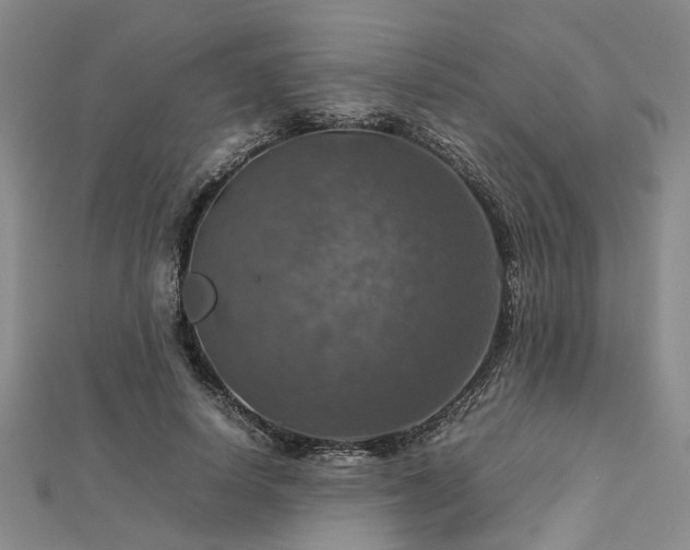 X0000112770642200908271642