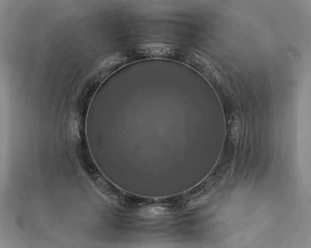 X0000112770643200908271642