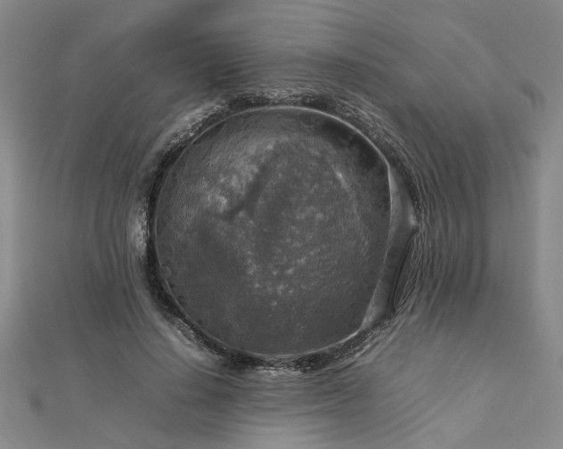 X0000112770644200908271642