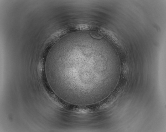 X0000112770645200908271642