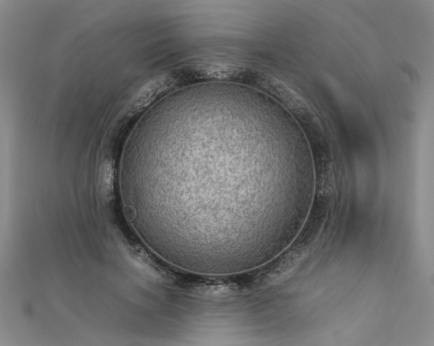 X0000112770646200908271642
