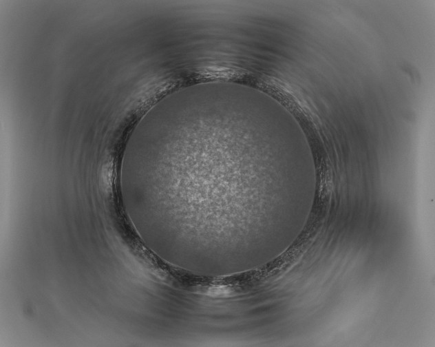 X0000112770647200908271642