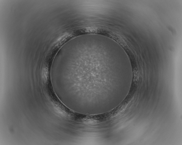 X0000112770648200908271642