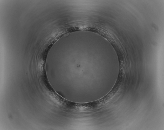 X0000112770650200908271642
