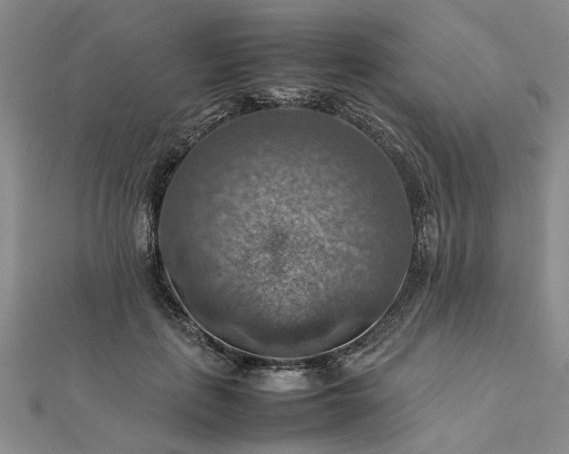 X0000112770651200908271642