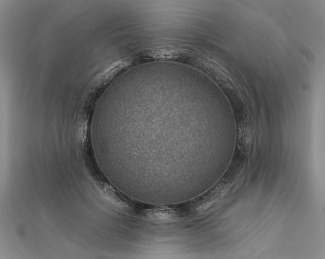 X0000112770652200908271642